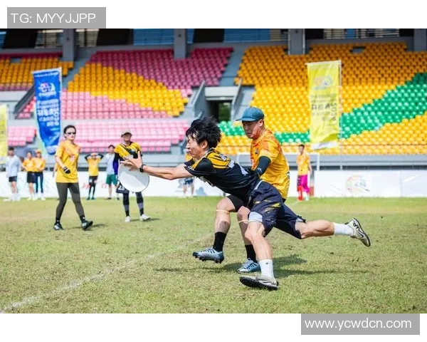 飞盘传奇:武汉飞盘队如何逆风翻盘成就辉煌之路 飞盘传奇:武汉飞盘队如何逆风翻盘成就辉煌之路