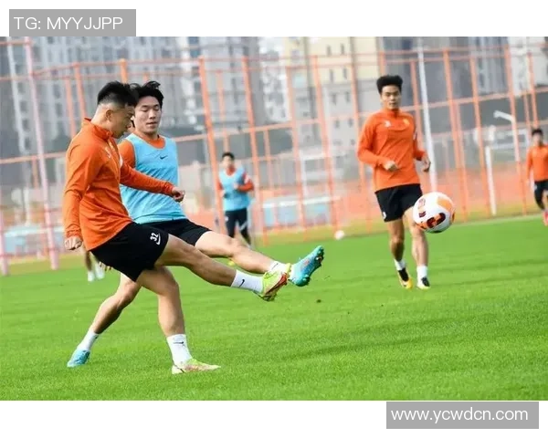 深圳网球队以90分领跑冠军赛积分榜展现强劲实力 深圳网球队以90分领跑冠军赛积分榜展现强劲实力